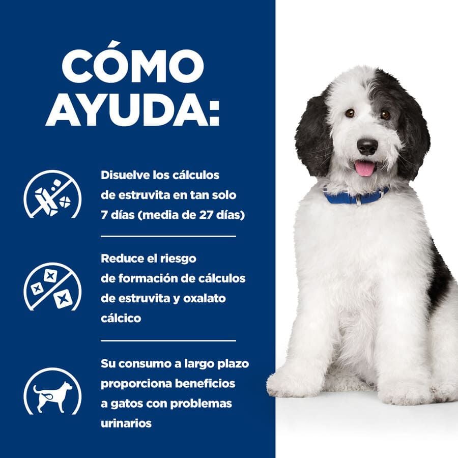 354 g Hill's Prescription Diet Urinary Care c/d Estofado de Pollo y Verduras lata para perros, , large indicador imagen numero 4